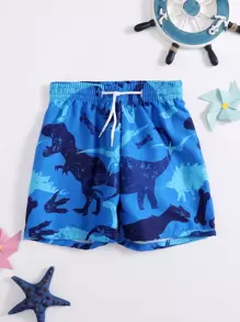 Young Boy Dinosaur Print Swim Shorts