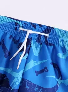 Young Boy Dinosaur Print Swim Shorts
