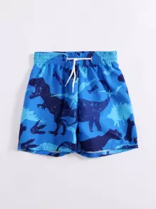 Young Boy Dinosaur Print Swim Shorts