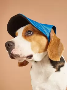 Solid Color Pet Cap - Blue - View 1