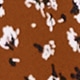Rỉ Nâu