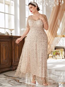 Modelyn Plus Size Floral Embroidery Mesh Dress - Apricot - View 5