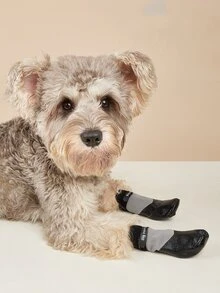 4 cái Thư Đồ Họa Vớ Chống Trượt Cho Thú Cưng - Nhiều màu - Xem 2