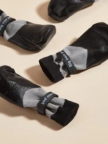 4 cái Thư Đồ Họa Vớ Chống Trượt Cho Thú Cưng - Nhiều màu - Xem 4