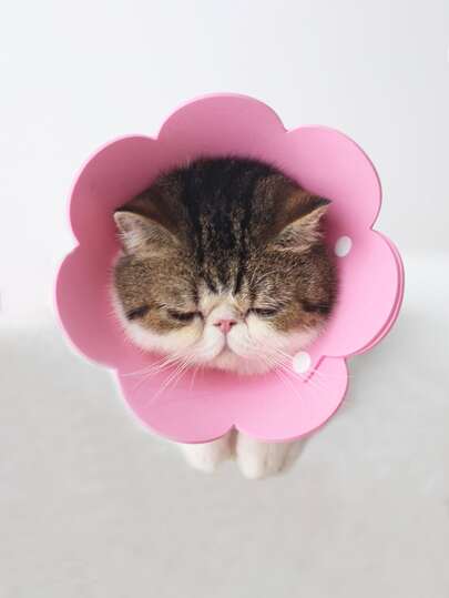 1pc Floral Elizabeth Collar, Suitable For Cats And Small Dogs, Prevent Licking And Biting For Spayed/Neutered Pets