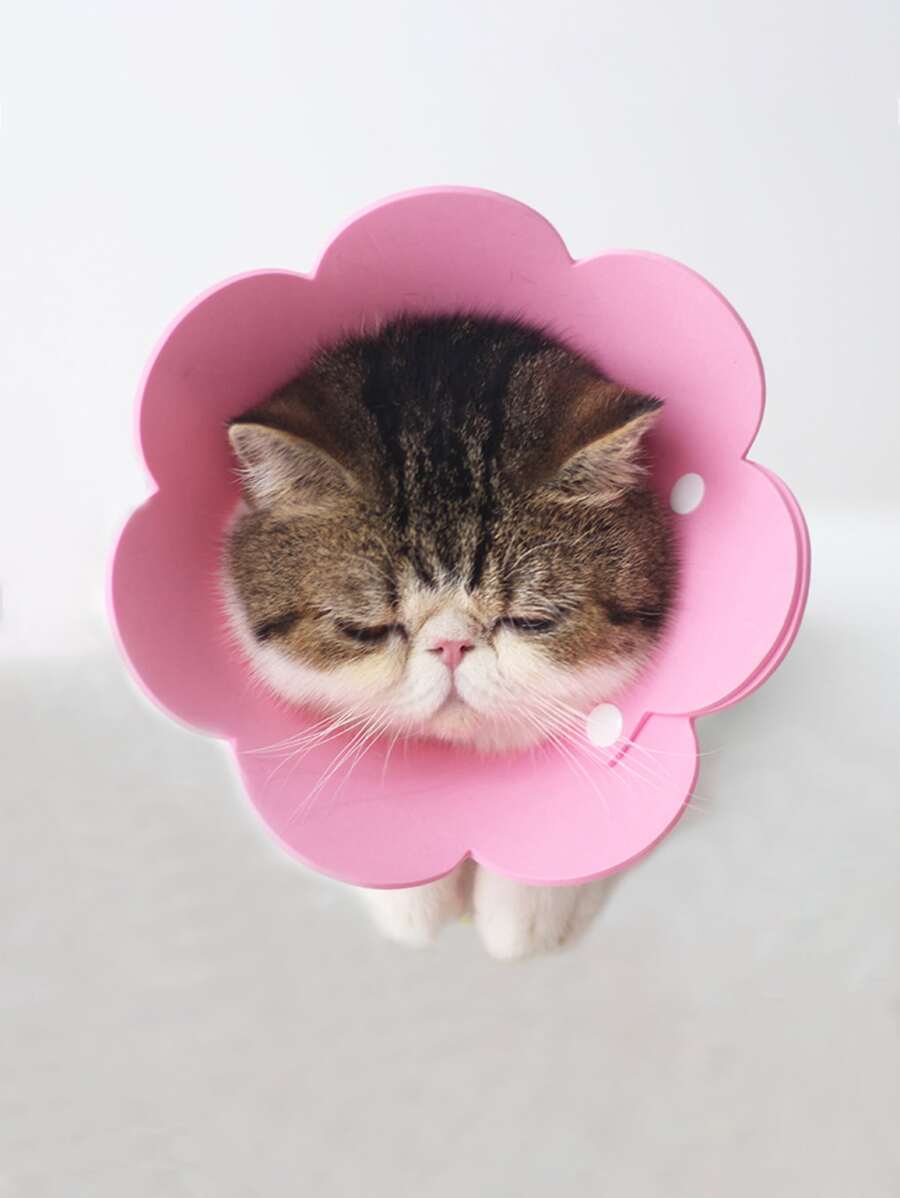 1 vòng cổ hình hoa thời Elizabeth, thích hợp cho mèo và chó nhỏ - Hồng - Xem 1