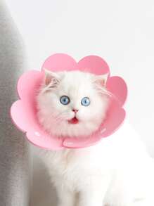 1 vòng cổ hình hoa thời Elizabeth, thích hợp cho mèo và chó nhỏ - Hồng - Xem 3