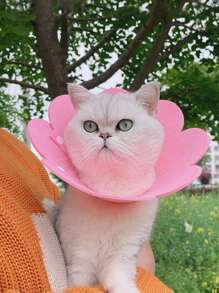 1 vòng cổ hình hoa thời Elizabeth, thích hợp cho mèo và chó nhỏ - Hồng - Xem 4