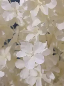 1 件人造长茎苹果花，适用于婚礼派对装饰、情人节、礼物 - 白色 - 查看 5