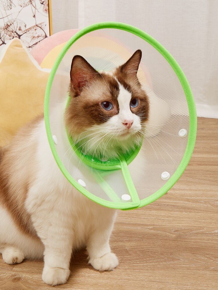 Plain Pet Recovery Collar - Green - View 1