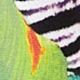 Multicolor
