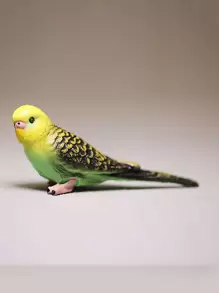 1入組鸚鵡形狀藝術擺件 - 彩色 - 查看 1