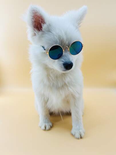 Occhiali per animale domestico rotondo