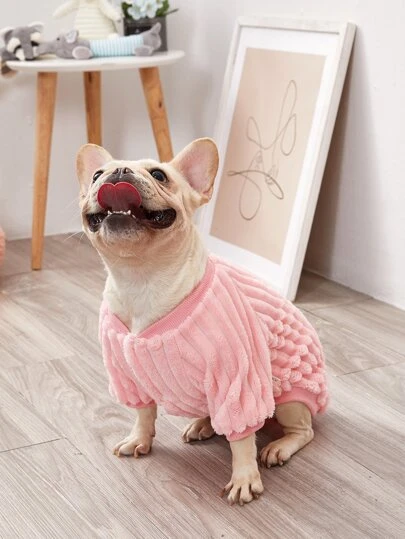 1入組狗狗素色運動衫