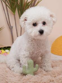 仙人掌形狀寵物磨牙玩具 - 綠色 - 查看 6