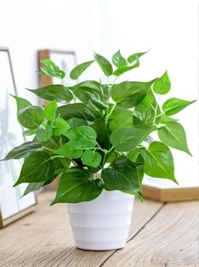 1 manojo de 13.8 pulgadas de eneldo verde artificial con 7 ramas, rama de hojas artificiales sin maceta para decoración de mesa en el hogar, plantas falsas, decoración de otoño, habitación, escritorio, decoración del jardín, decoración de la habitación, San Valentín, regalo