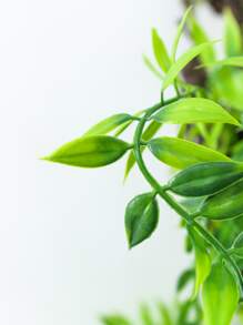 1件人造蕨類植物藤 - 綠色 - 查看 2