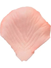 H.L.BALLOON Bữa tiệc ném 1 gói Cánh hoa - Màu Hồng  San hô - Xem 2