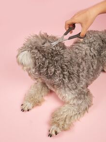 2入組不銹鋼寵物修剪剪刀套裝,圓頭犬眼剪和彎剪,適用於修剪貓狗臉部、眼睛、爪子、身體和其他部位的毛髮,家用修剪工具 - 黑色 - 查看 2