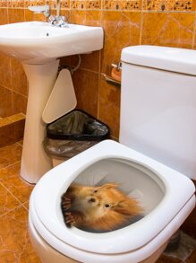 Decal nắp bồn cầu in hình con sóc - Nhiều màu - Xem 5