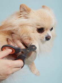 1入組寵物指甲剪 - 彩色 - 查看 1