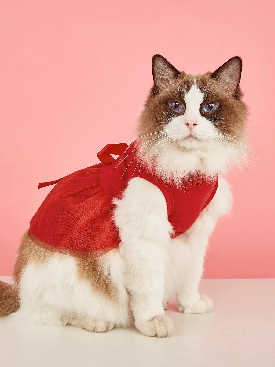 Váy ren tương phản cho thú cưng - Đỏ - Xem 1