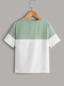 SHEIN Tween Boy Two Tone Dinosaur Print Letter Patched Detail Tee - Multicolor - View 2