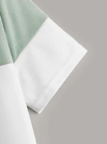 SHEIN Tween Boy Two Tone Dinosaur Print Letter Patched Detail Tee - Multicolor - View 3