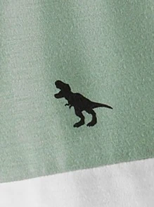 SHEIN Tween Boy Two Tone Dinosaur Print Letter Patched Detail Tee - Multicolor - View 4