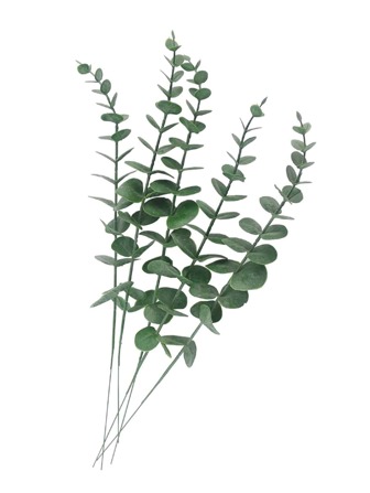 5pcs Artificial Eucalyptus Leaves,Greenery Stem With Frost For Vase Home Party Wedding Decoration Outdoor DIY Flower Wall Decor,Fake Plants,Fall Decor,Room,Desk,Garden Decor,Room Decoration Stuff, Valentine Day, Gift Gifts Birthday Graduation,Garden Decor,Outdoor Plant,Gardening,Fake Flowers
