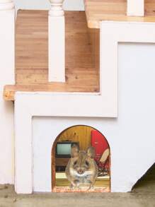 有趣的老鼠洞牆貼臥室廚房底板家居裝飾3D乙烯基牆貼花DIY卡通老鼠動物壁畫藝術 - 彩色 - 查看 5