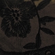 الأسود