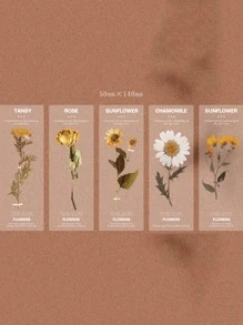 5入組昨日花店PET半透明有創意的設計師筆記書籤，印有花卉和植物圖案 #每包裝內含多少個 - 彩色 - 查看 3