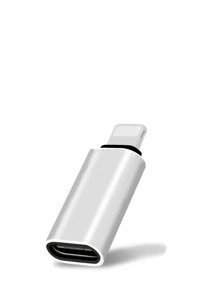 Adaptador de cable de cargador tipo C a Lightning - Plateado - Ver 3