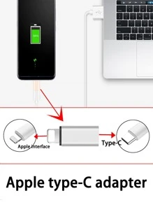 Adaptador de cable de cargador tipo C a Lightning - Plateado - Ver 5