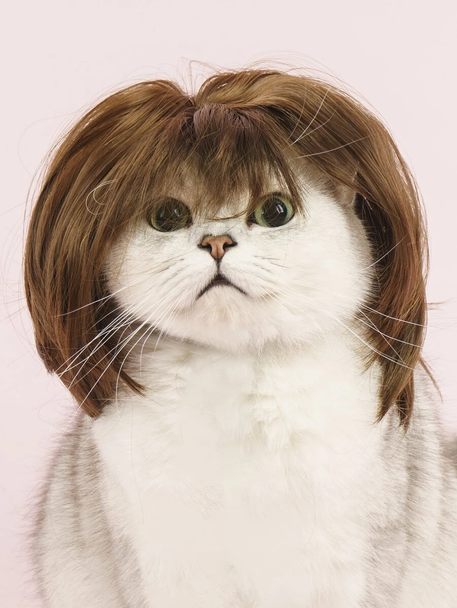 1入組搞笑假髮角色扮演假髮、寵物照片道具、寵物配件