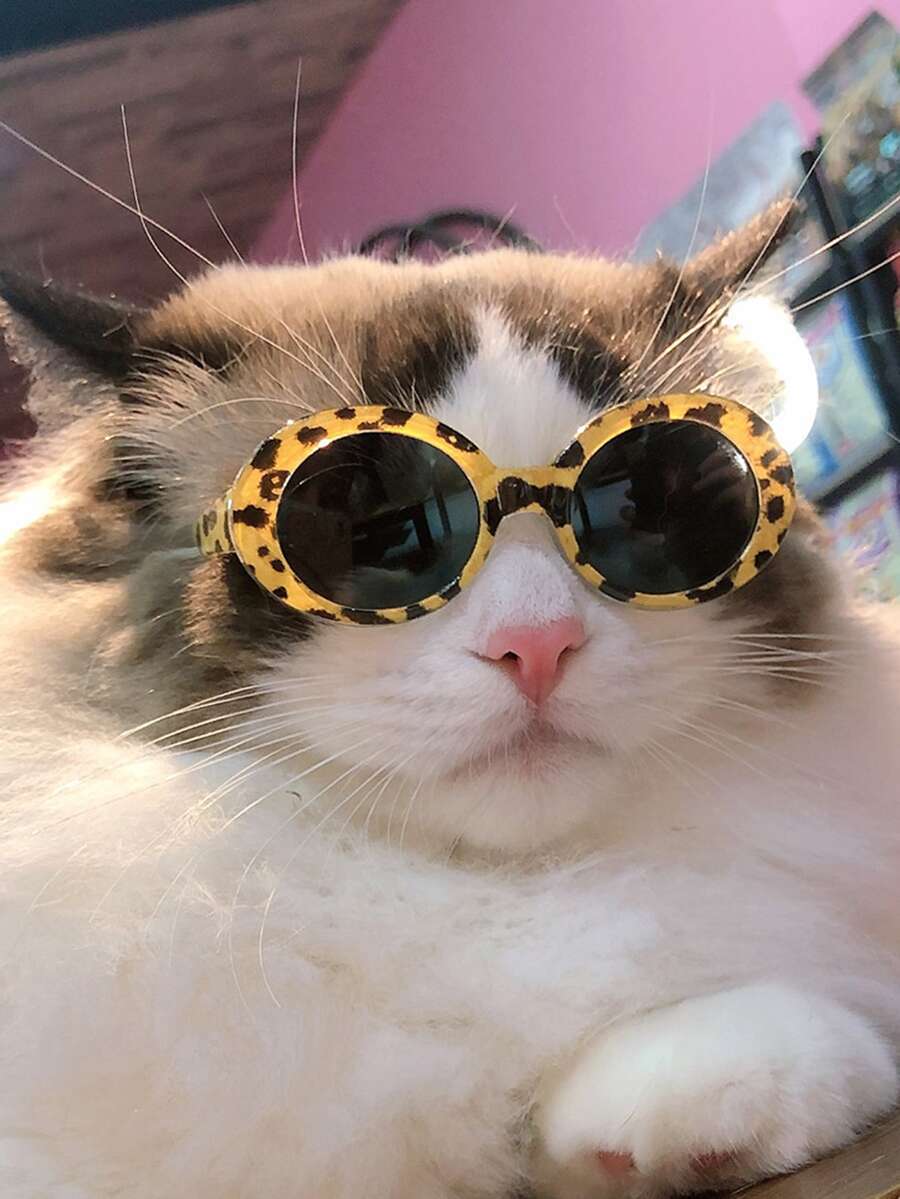 1pc Leopard Pet Glasses - Multicolor - View 1