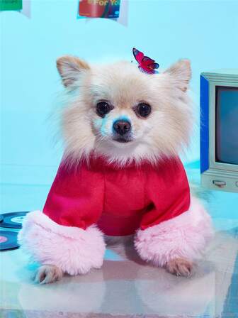 Felpa per animali domestici con grafica lettera