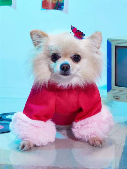 Felpa per animali domestici con grafica lettera