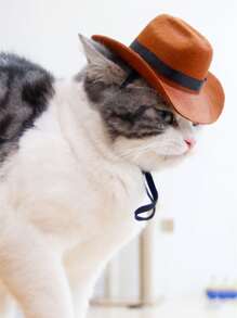 1pc Pet Hat - Brown - View 1