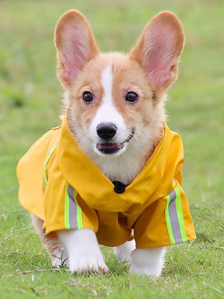 Impermeable para mascota reflectante luminoso