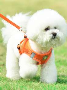 1套舒適透氣的貓狗背帶和牽繩套裝,防丟失和反光,適用於中小型犬的步行和旅行 - 橘色 - 查看 2