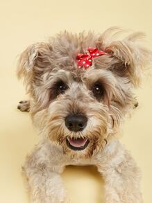 3pcs Random Polka Dot Bow Pet Hair Clip - Multicolor - View 2