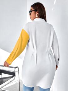 Calvaya Plus Two Tone Plicated Asymmetrical Hem Shirt - Multicolor - View 2