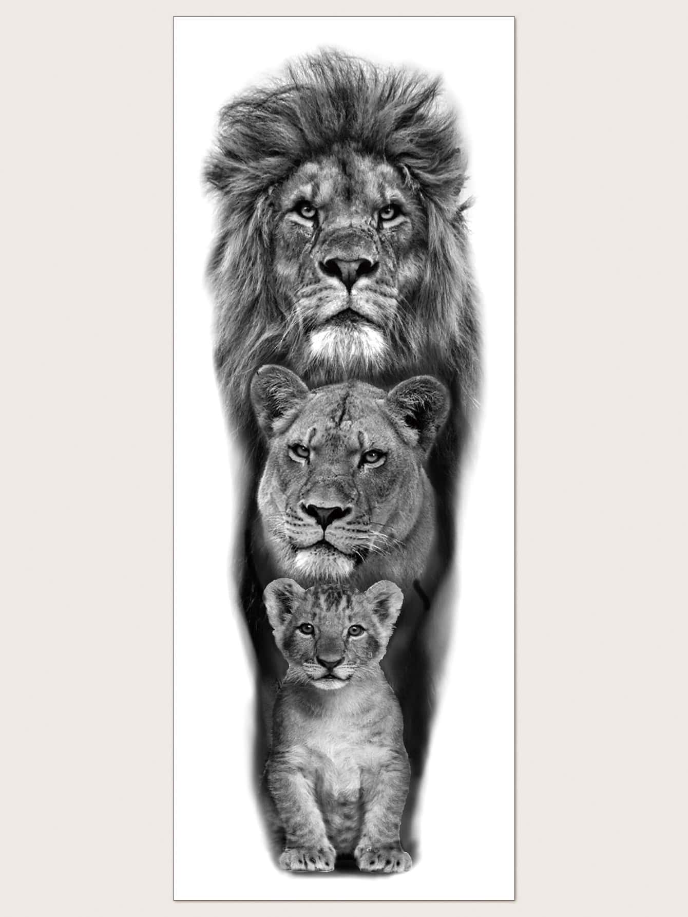 picture