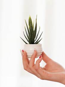 1pc Artificial Potted Aloe, Plastic Mini Potted Plant, Suitable For Desktop Window Bookshelf Decoration,Fake Plants,Fall Decor,Room,Desk,Garden Decor,Room Decoration Stuff, Valentine Day, Gift Gifts Birthday Graduation - Green - View 2