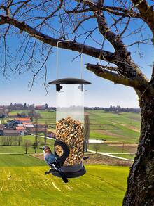 1件戶外餵鳥器 - 黑色 - 查看 2