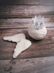 Recién nacido niños foto ala & corona - Beis - Ver 2