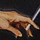 Nhiều màu