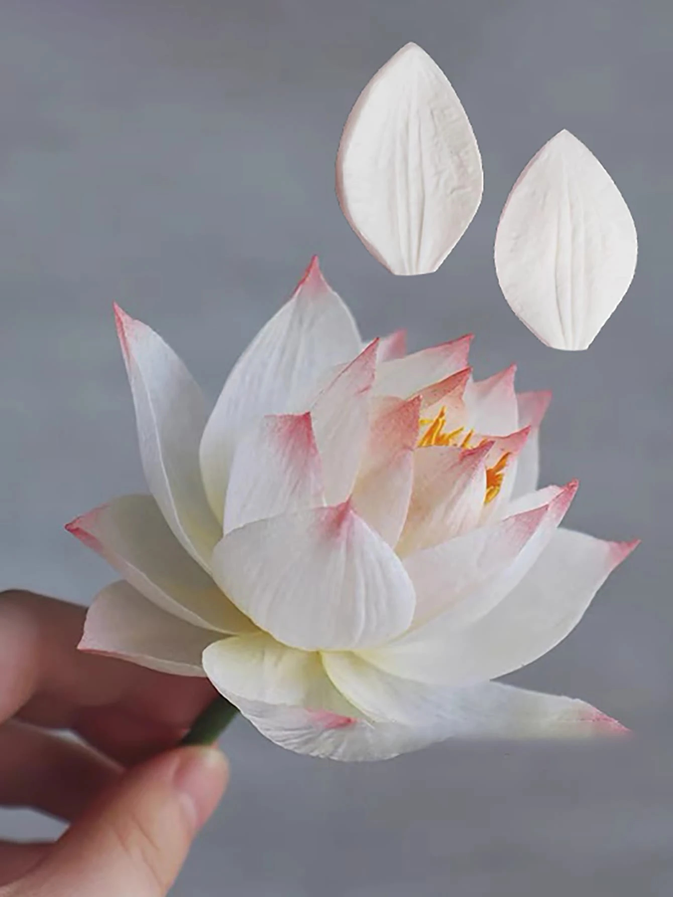 edcfabf3cc47c57b3db18e Webp edcfabf3cc47c57b3db18e Webp